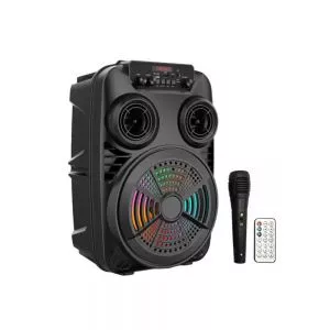 Haut Parleur Bluetooth ZQS8107S